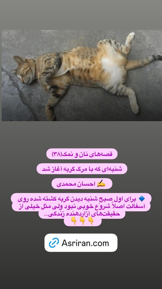  جدید ترین استوری اینستاگرام احسان محمدی