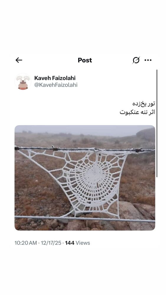  جدید ترین استوری اینستاگرام احسان محمدی