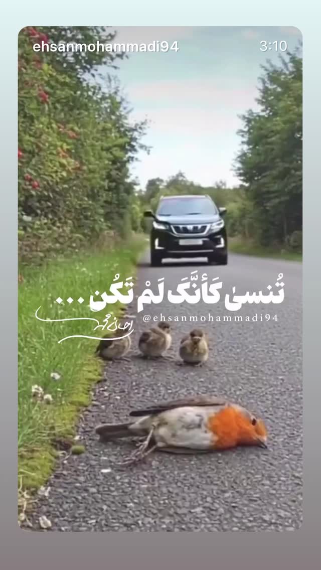  جدید ترین استوری اینستاگرام احسان محمدی