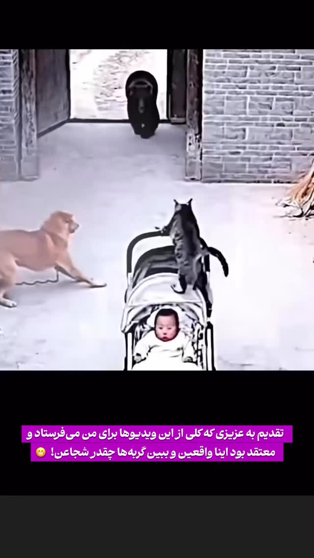  جدید ترین استوری اینستاگرام احسان محمدی