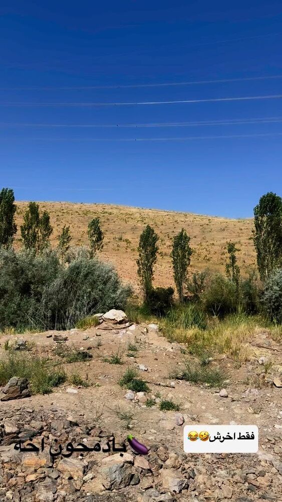  جدید ترین استوری اینستاگرام الهه برزگر