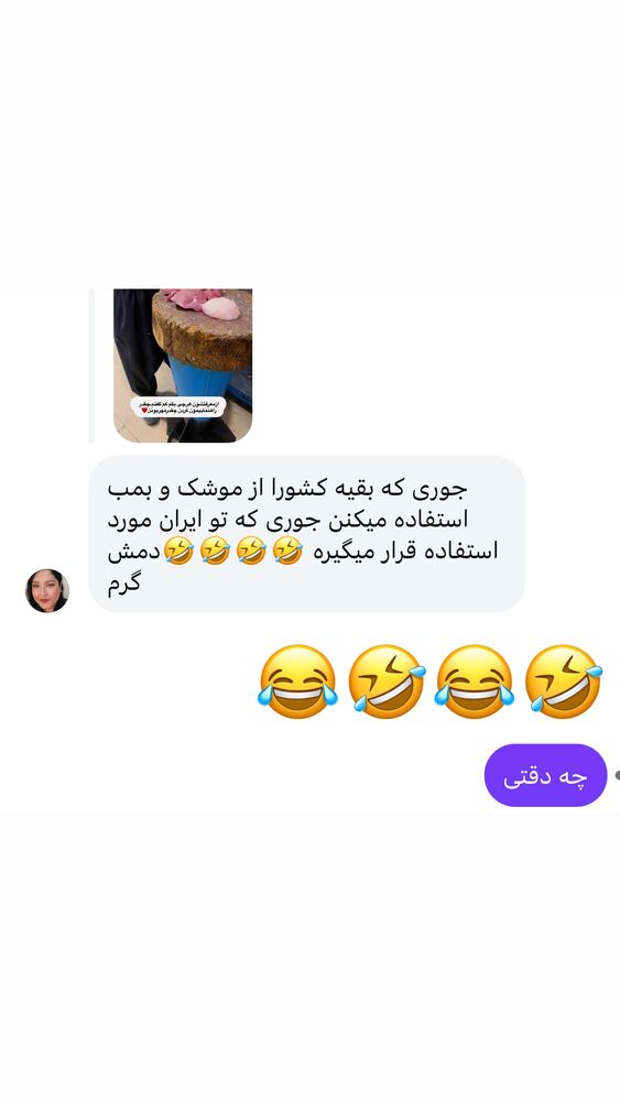  جدید ترین استوری اینستاگرام الهه برزگر