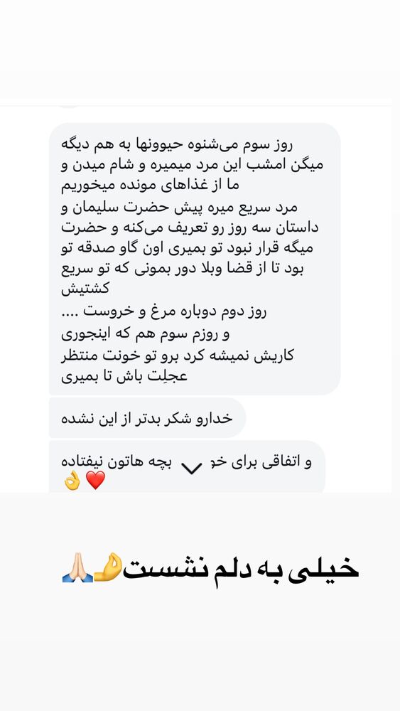  جدید ترین استوری اینستاگرام الهه برزگر