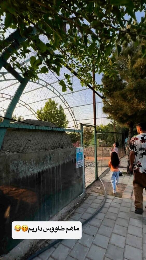  جدید ترین استوری اینستاگرام الهه برزگر