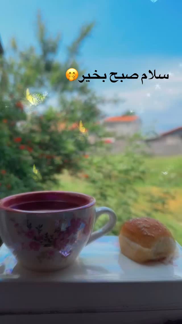  جدید ترین استوری اینستاگرام الهه برزگر