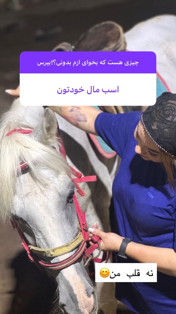  جدید ترین استوری اینستاگرام الهه برزگر
