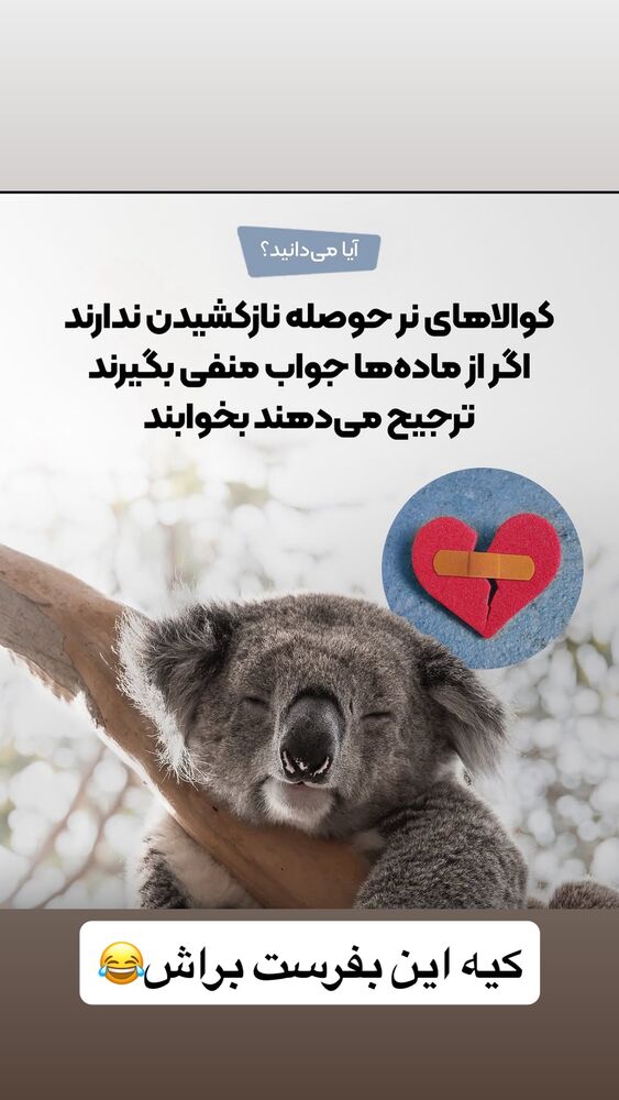  جدید ترین استوری اینستاگرام الهه برزگر
