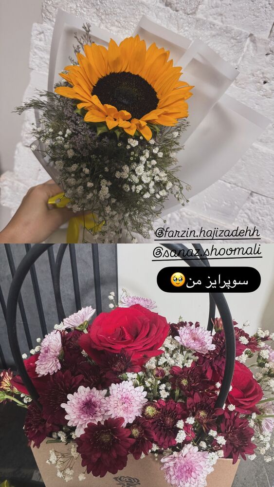  جدید ترین استوری اینستاگرام الهه برزگر