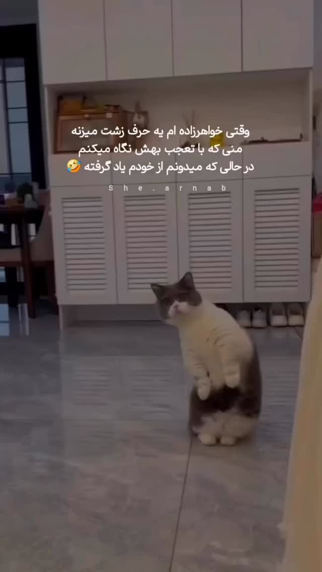  جدید ترین استوری اینستاگرام الهه برزگر
