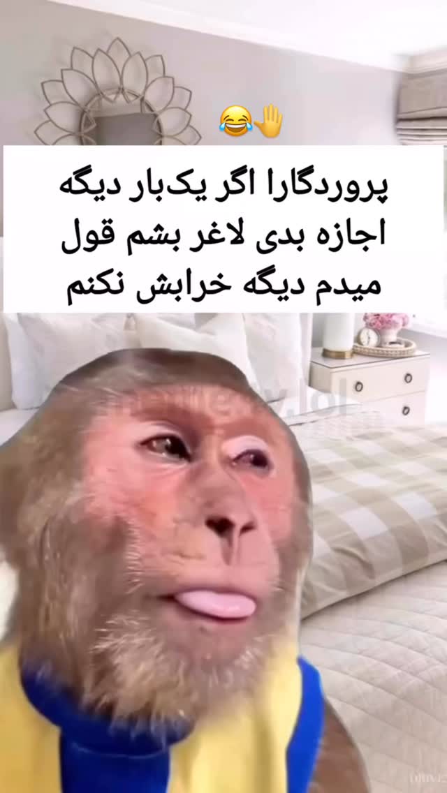  جدید ترین استوری اینستاگرام الهه برزگر