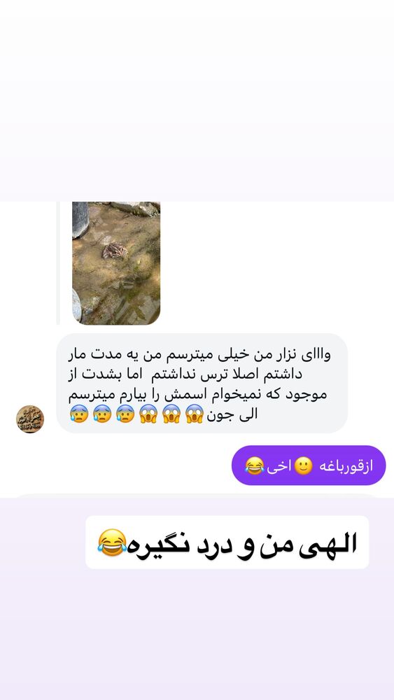 جدید ترین استوری اینستاگرام الهه برزگر