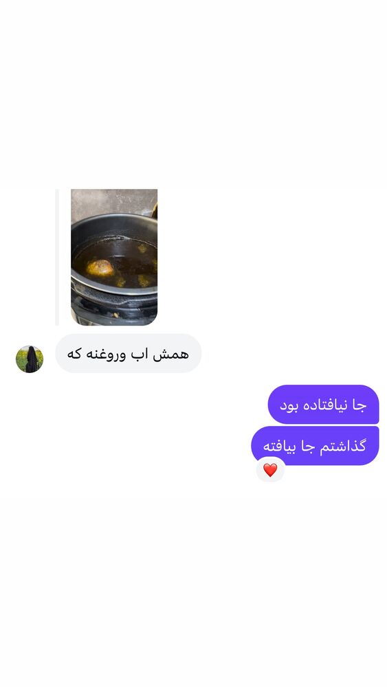  جدید ترین استوری اینستاگرام الهه برزگر