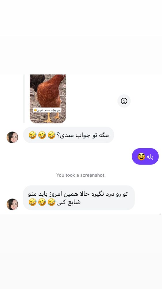  جدید ترین استوری اینستاگرام الهه برزگر