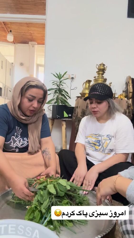  جدید ترین استوری اینستاگرام الهه برزگر