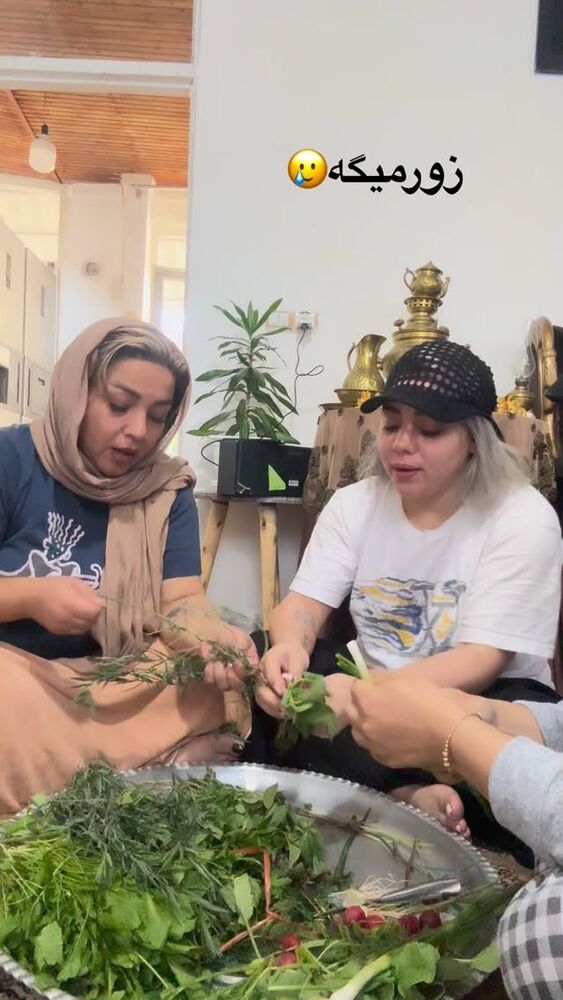  جدید ترین استوری اینستاگرام الهه برزگر
