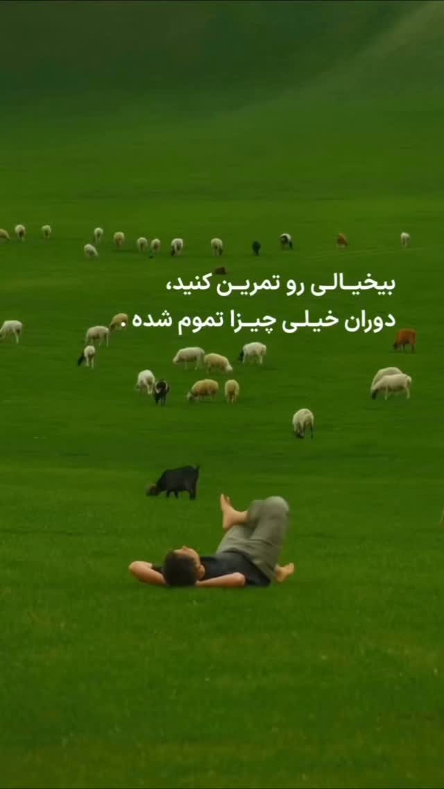  جدید ترین استوری اینستاگرام الهه برزگر