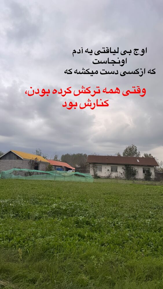  جدید ترین استوری اینستاگرام الهه برزگر