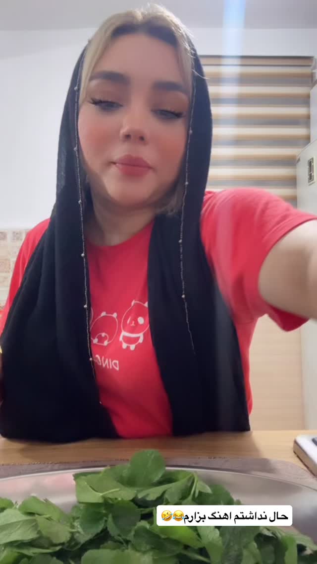  جدید ترین استوری اینستاگرام الهه برزگر