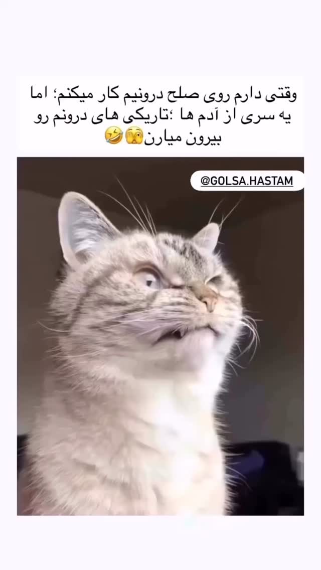  جدید ترین استوری اینستاگرام الهه برزگر