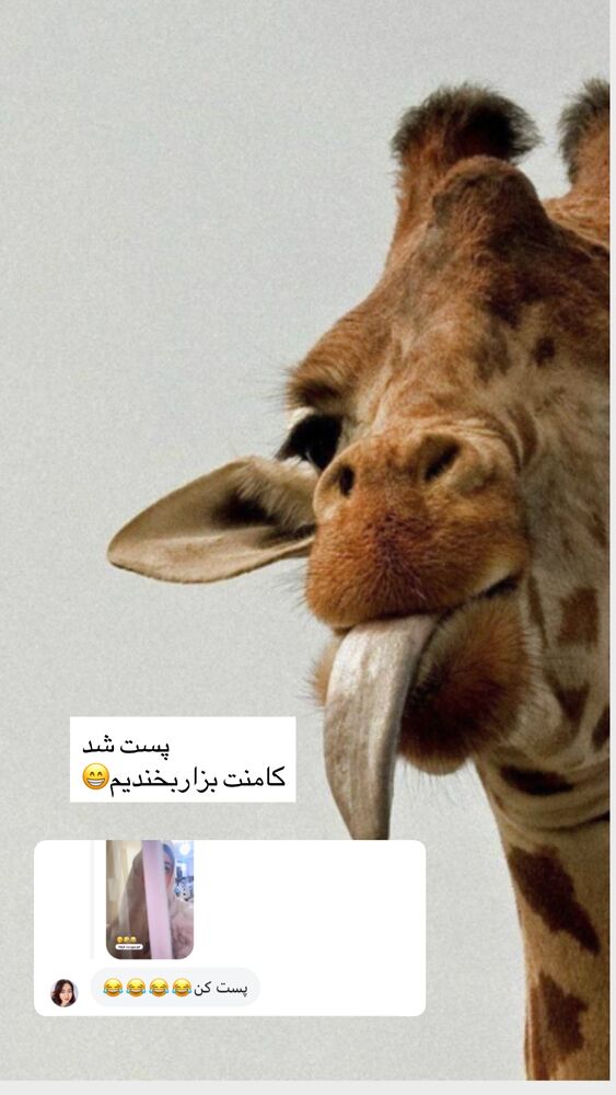  جدید ترین استوری اینستاگرام الهه برزگر