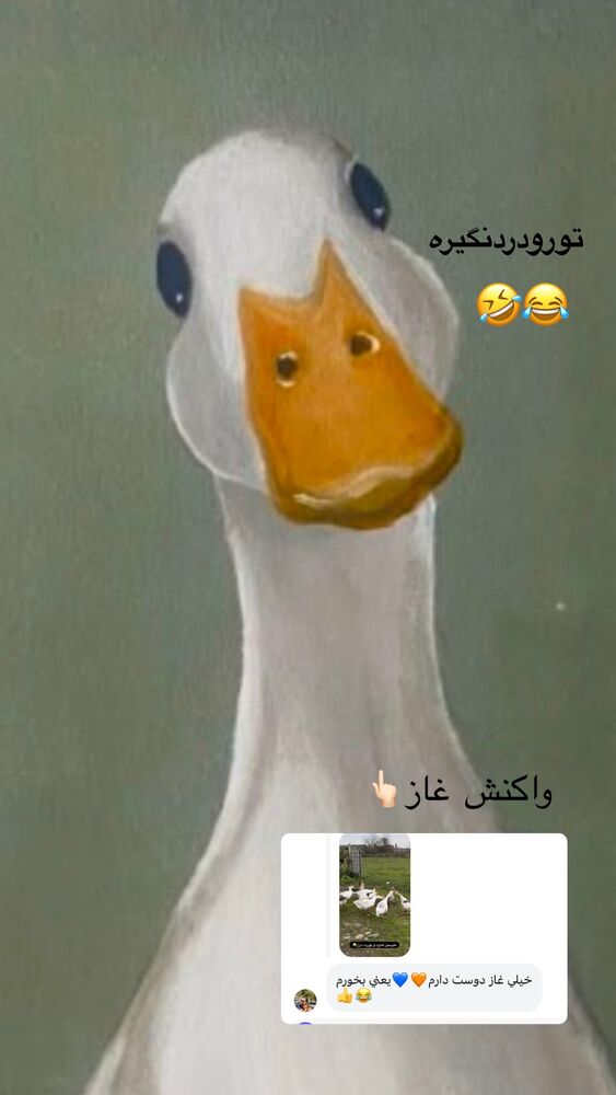  جدید ترین استوری اینستاگرام الهه برزگر
