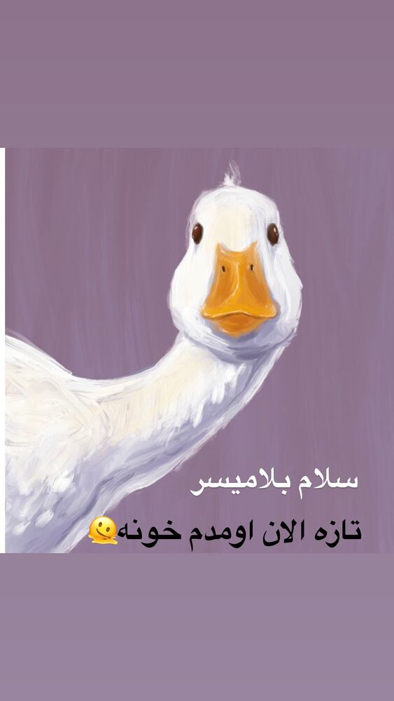  جدید ترین استوری اینستاگرام الهه برزگر