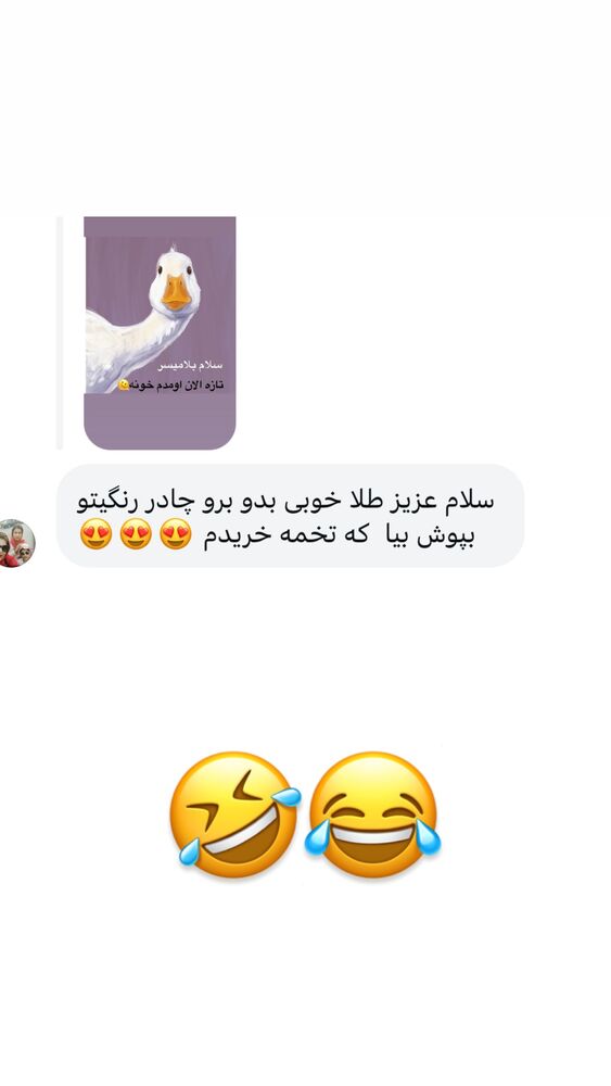  جدید ترین استوری اینستاگرام الهه برزگر