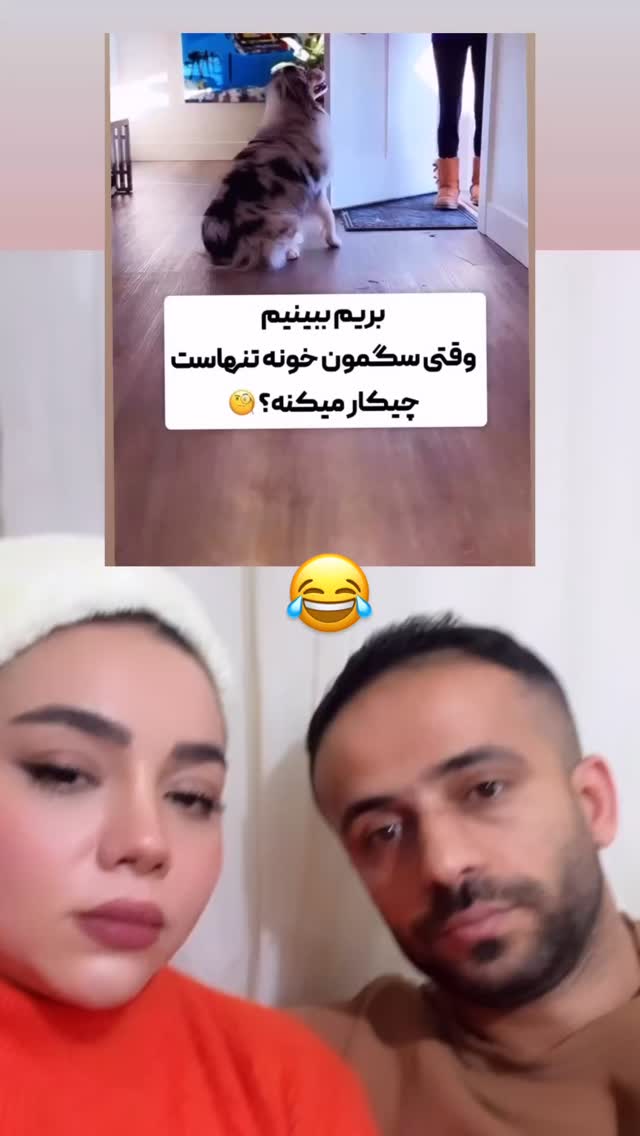  جدید ترین استوری اینستاگرام الهه برزگر