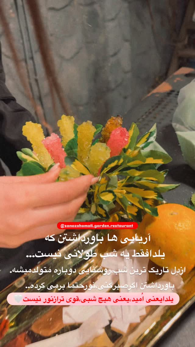  جدید ترین استوری اینستاگرام الهه برزگر
