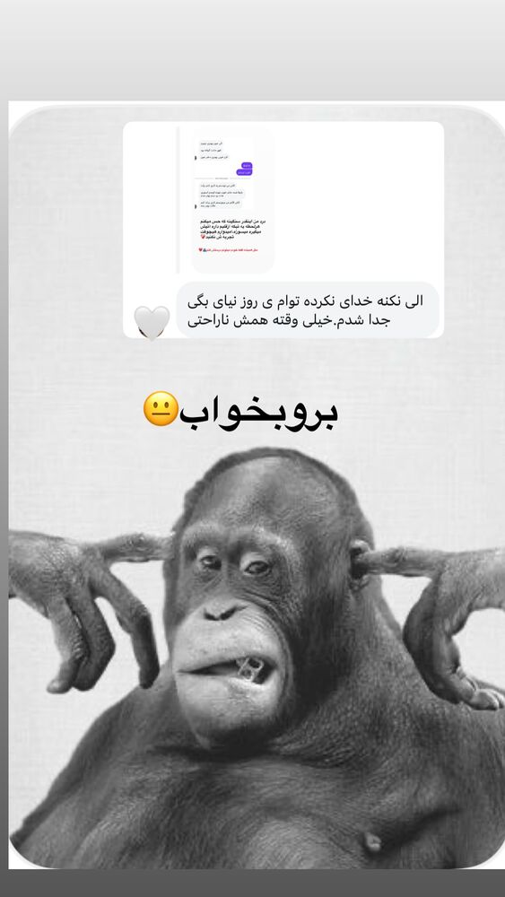  جدید ترین استوری اینستاگرام الهه برزگر