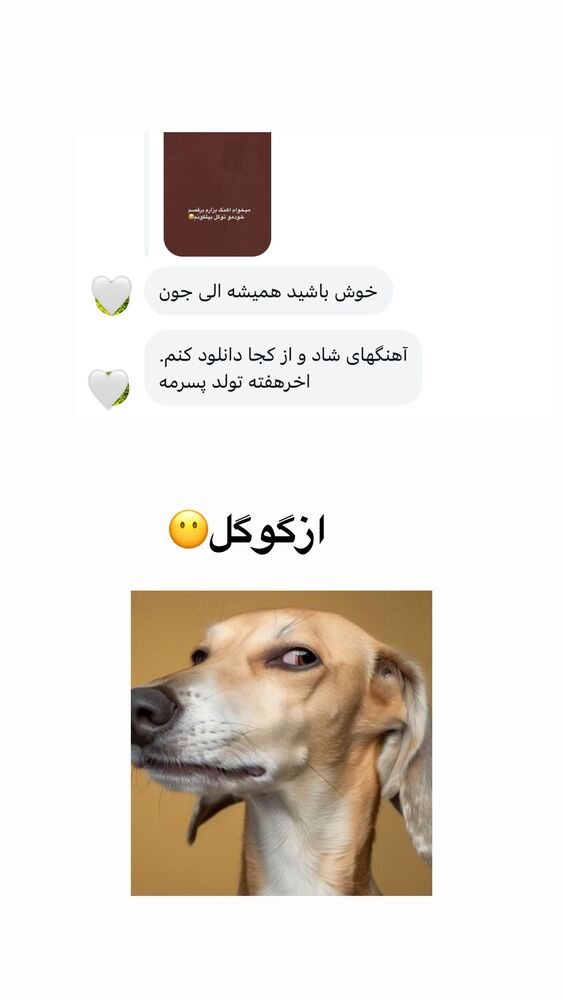  جدید ترین استوری اینستاگرام الهه برزگر