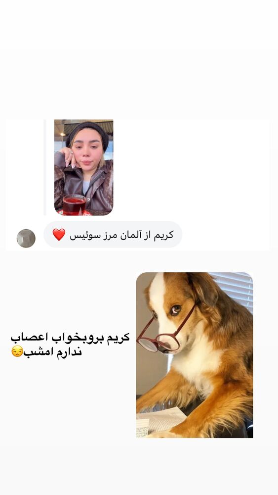  جدید ترین استوری اینستاگرام الهه برزگر