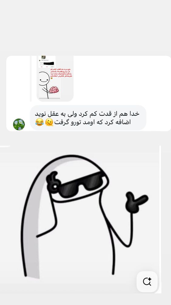  جدید ترین استوری اینستاگرام الهه برزگر