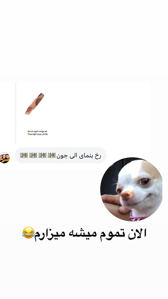  جدید ترین استوری اینستاگرام الهه برزگر