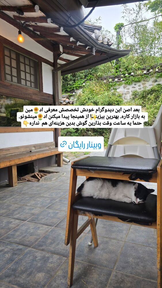  جدید ترین استوری اینستاگرام الهه رضازاده
