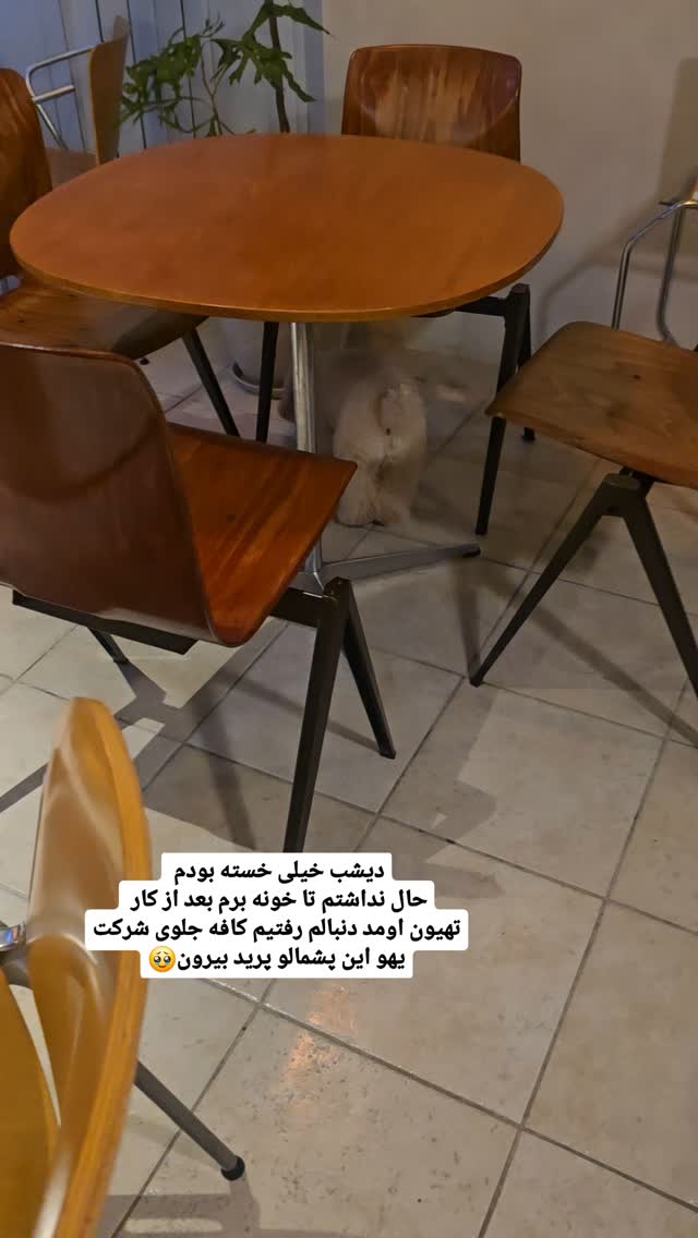  جدید ترین استوری اینستاگرام الهه رضازاده