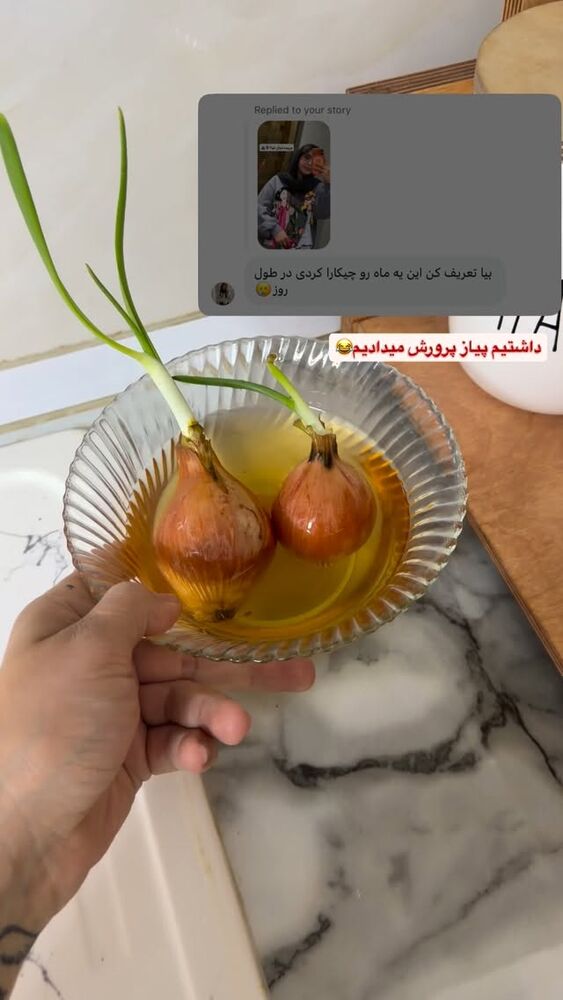 جدید ترین استوری اینستاگرام الهه نصرتی