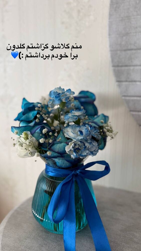 جدید ترین استوری اینستاگرام الهه نصرتی