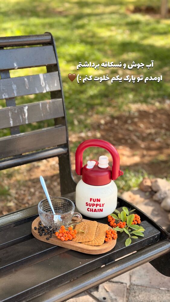  جدید ترین استوری اینستاگرام الهه نصرتی