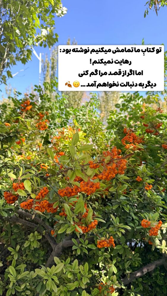  جدید ترین استوری اینستاگرام الهه نصرتی