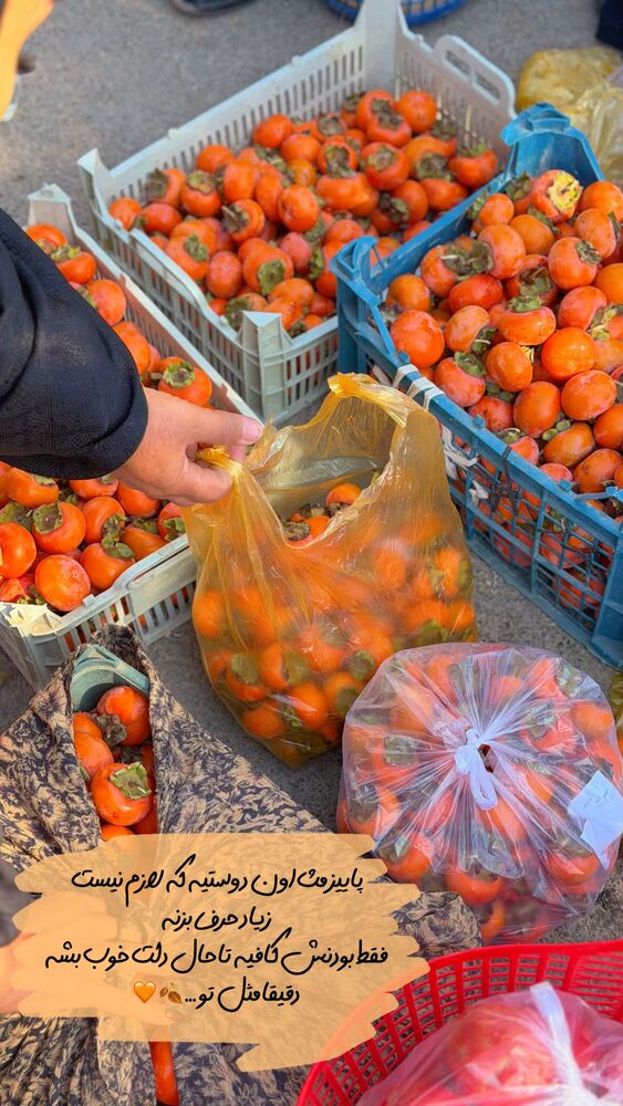  جدید ترین استوری اینستاگرام الهه نصرتی
