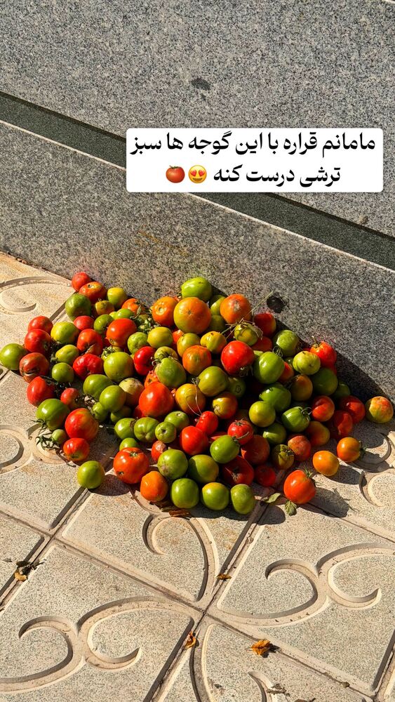 جدید ترین استوری اینستاگرام الهه نصرتی