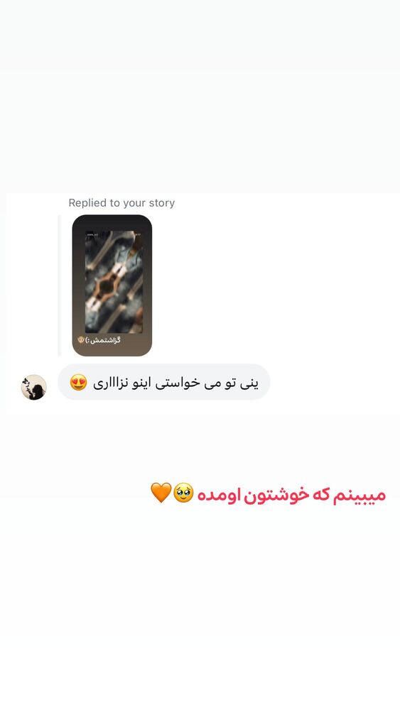  جدید ترین استوری اینستاگرام الهه نصرتی