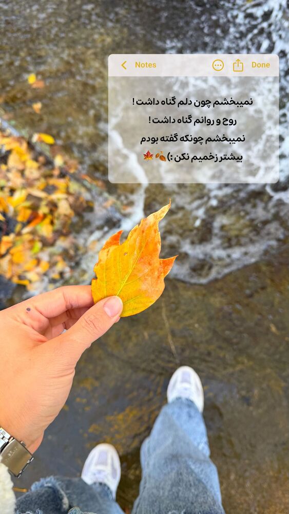  جدید ترین استوری اینستاگرام الهه نصرتی
