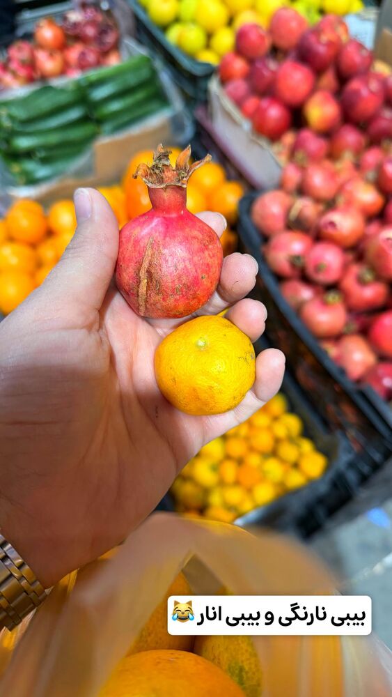  جدید ترین استوری اینستاگرام الهه نصرتی