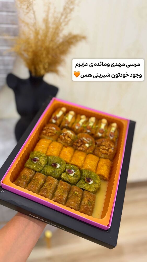  جدید ترین استوری اینستاگرام الهه نصرتی