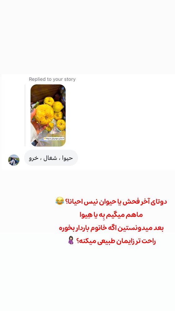  جدید ترین استوری اینستاگرام الهه نصرتی