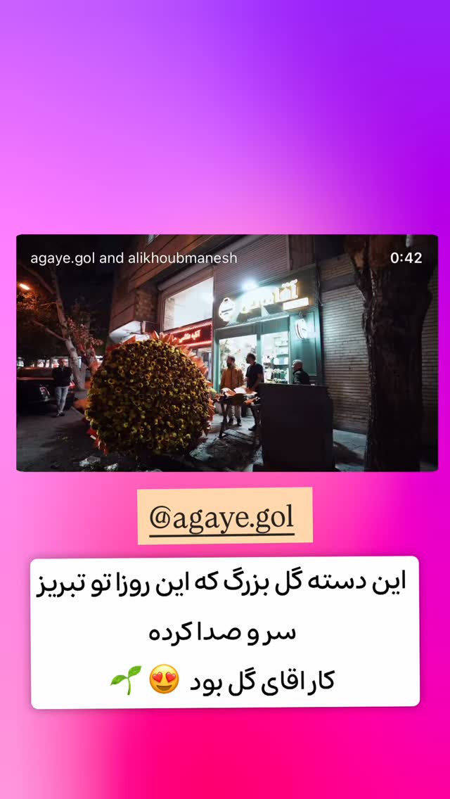  جدید ترین استوری اینستاگرام الهه نصرتی