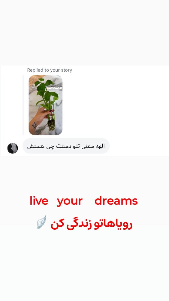  جدید ترین استوری اینستاگرام الهه نصرتی