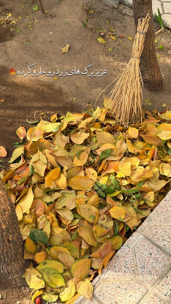  جدید ترین استوری اینستاگرام الهه نصرتی